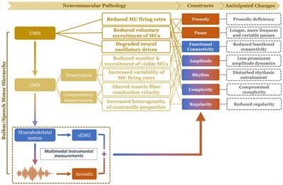 A multimodal approach to automated hierarchical assessment of bulbar involvement in amyotrophic lateral sclerosis